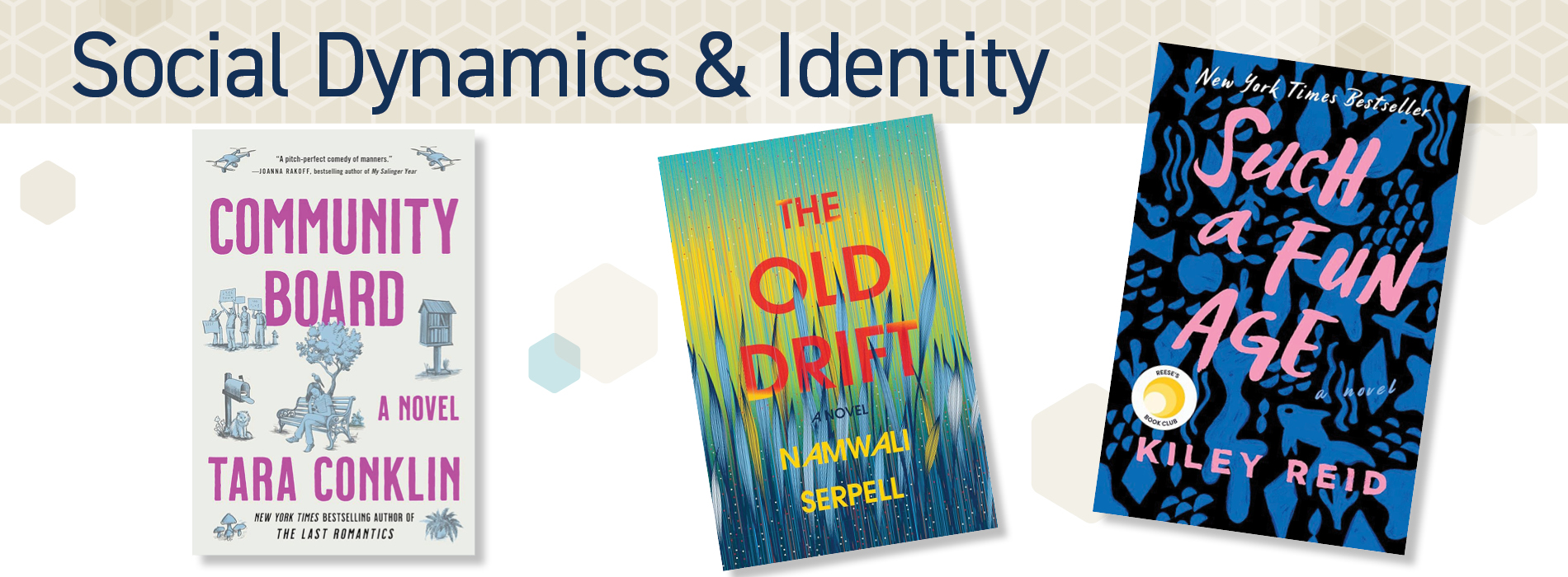 Social Dynamics & Identity section header featuring Such A Fun Age, The Old Drift, and Community Board book covers.